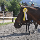 DSC_0059 - Kopie_JPG-1344237064