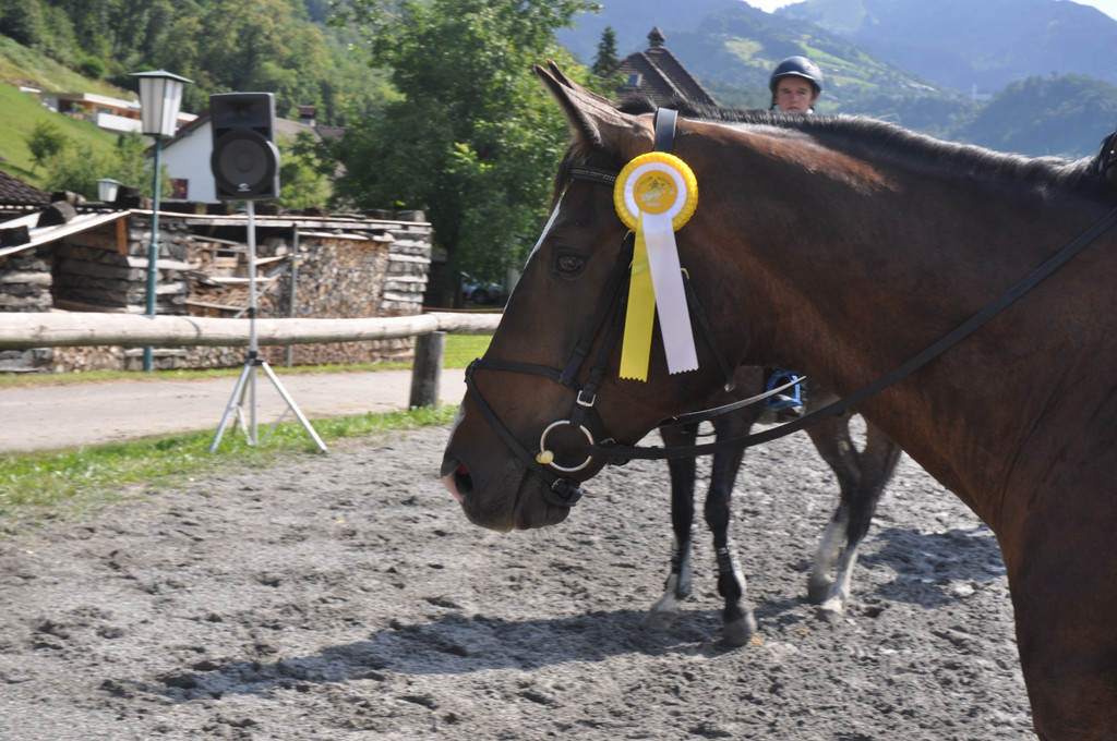 DSC_0059 - Kopie_JPG-1344237064