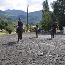 DSC_0067 - Kopie_JPG-1344237464