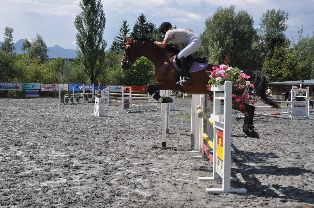 DSC_0080_JPG-1344237533