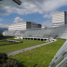 DSCN7736_JPG-1344242610