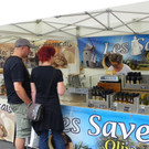 115_5930_JPG-1344245466