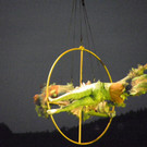 112_0066_JPG-1344246627