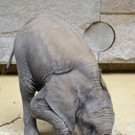 ABD0044-20120806.jpg