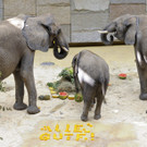 ABD0045-20120806.jpg