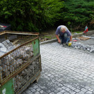 115_0750_JPG-1344263719