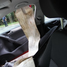 06082012vub158de01001aktivnews_139.jpg
