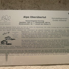 P1100107.JPG