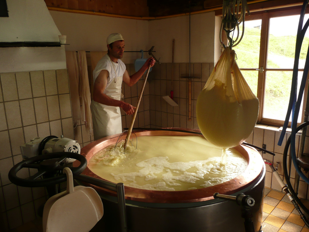 P1100115.JPG