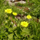 P1100164.JPG