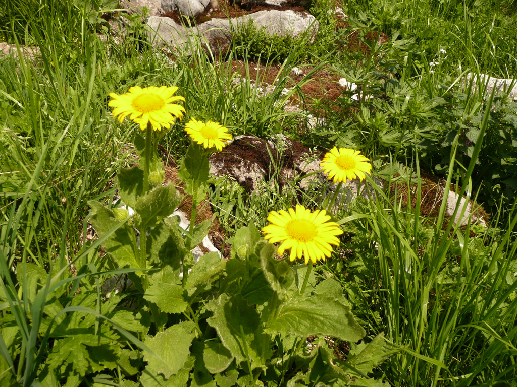 P1100164.JPG