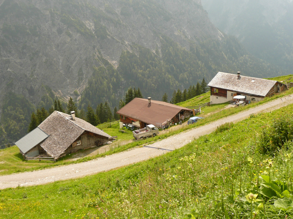 P1100183.JPG