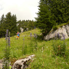 P1100184.JPG