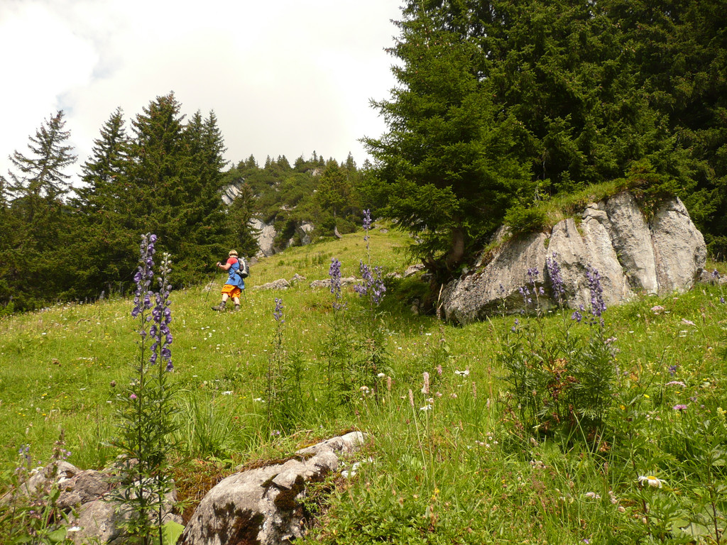 P1100184.JPG