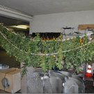 06_08_2012 - PI Krems - Foto 2.JPG