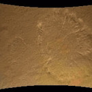 IBD0290-20120807.jpg