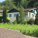 DSCN7164_JPG-1344406181