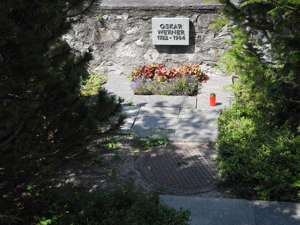 DSCN7176_JPG-1344406268