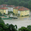 241400.jpg