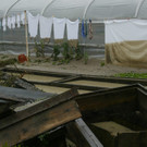 Hochwasser170702d.jpg