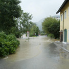 RedHochwHall_2007.jpg