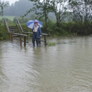 Thalgau120802d.jpg