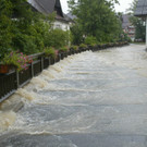 Thalgau120802f.jpg