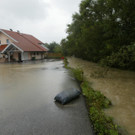 Thalgau120802i.jpg