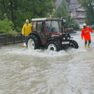 Thalgau120802l.jpg