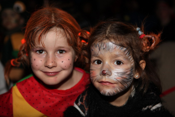Pippi_Katz_Gr____enver__nderung.jpg