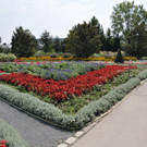 DSC_0321.jpg