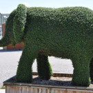 DSC_1317.jpg