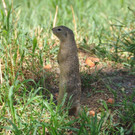DSC_1362.jpg