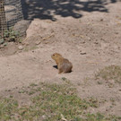 DSC_1398.jpg