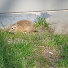 DSC_1635.jpg