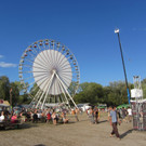 Sziget Festival 2012 Leserreporter