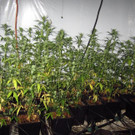 10_08_2012 PI Ebreichsdorf 2.jpg