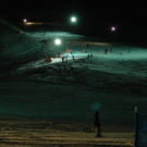 DSC_7519.jpg