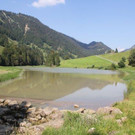 Seniorenring Göfis: Wanderausflug ins Lecknertal