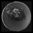 IBD1186-20120809.jpg