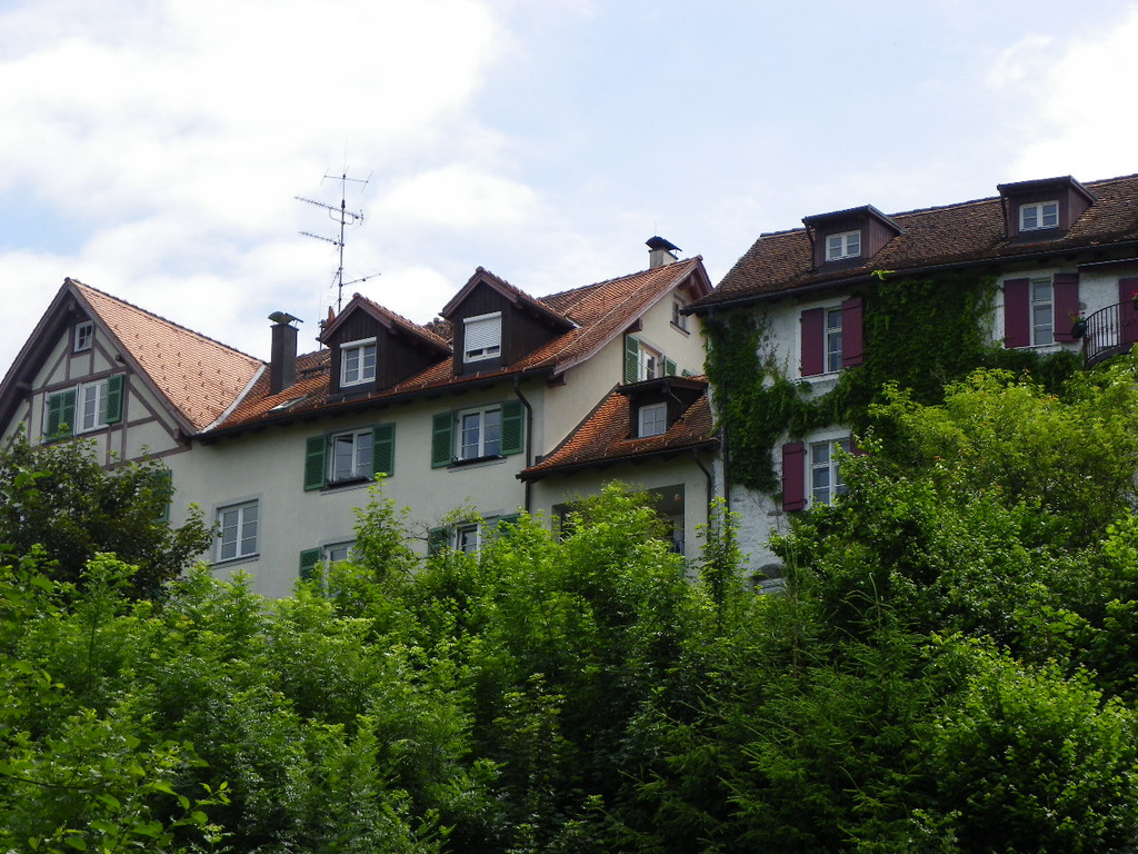 115_0883_JPG-1344611401