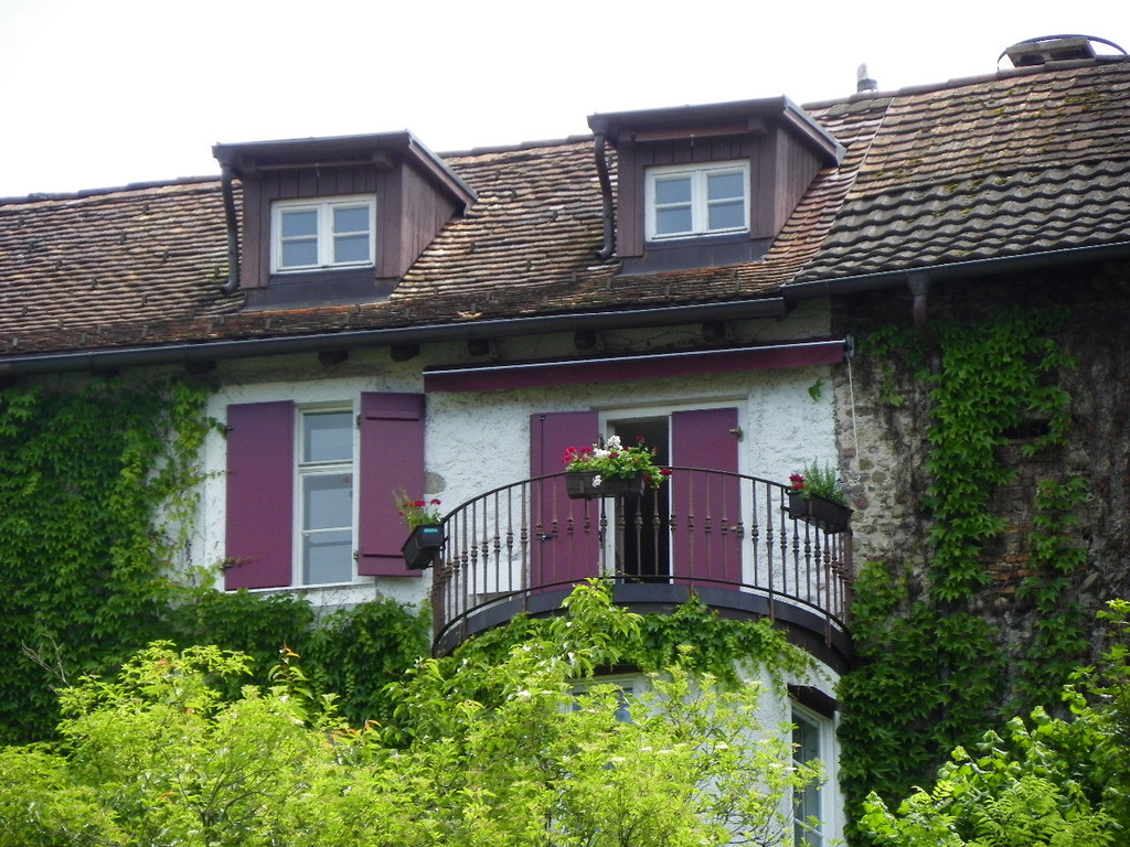 115_0884_JPG-1344611407