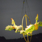 112_0067_JPG-1344612176