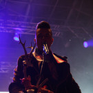 11931032.jpg