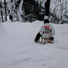 DSC_0044.jpg