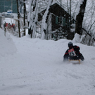 DSC_0050.jpg