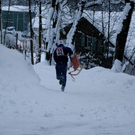 DSC_0067.jpg