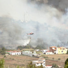 IBD0535-20120811.jpg