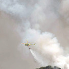 IBD0533-20120811.jpg