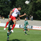 Dornb_ - Seek_  2012 045.jpg
